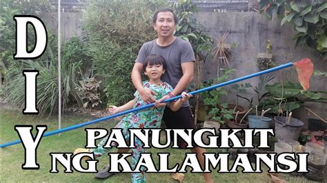 panungkit in english meaning|Pansungkit: Definition of Filipino / Tagalog word pansungkit.